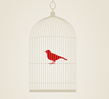 一手货源直供的网站ddos隐藏源ip